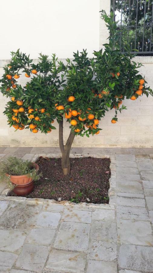 B&B Il Mulino Del Monastero Conversano Zewnętrze zdjęcie